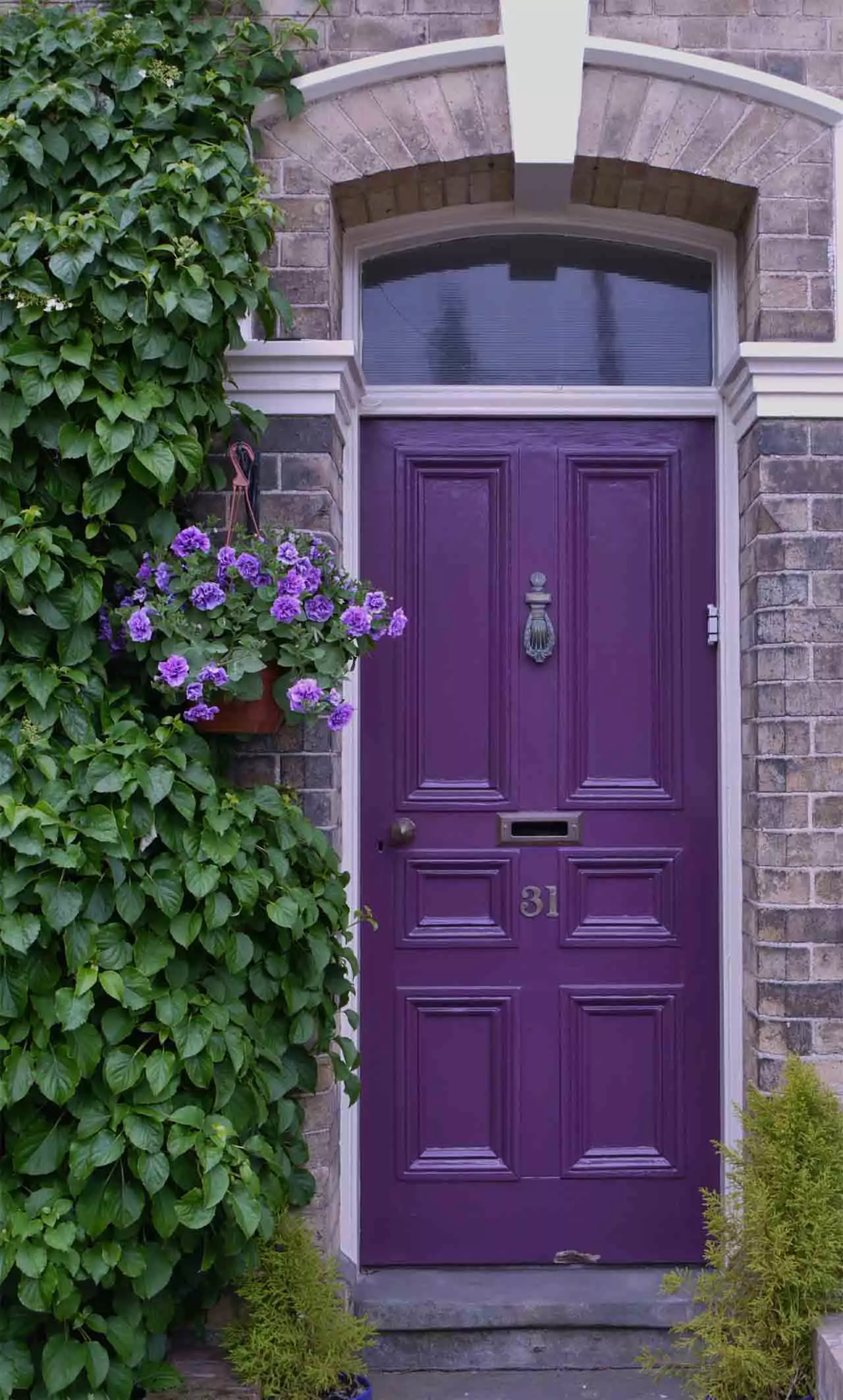 Cat Pintu Kayu Warna Ungu