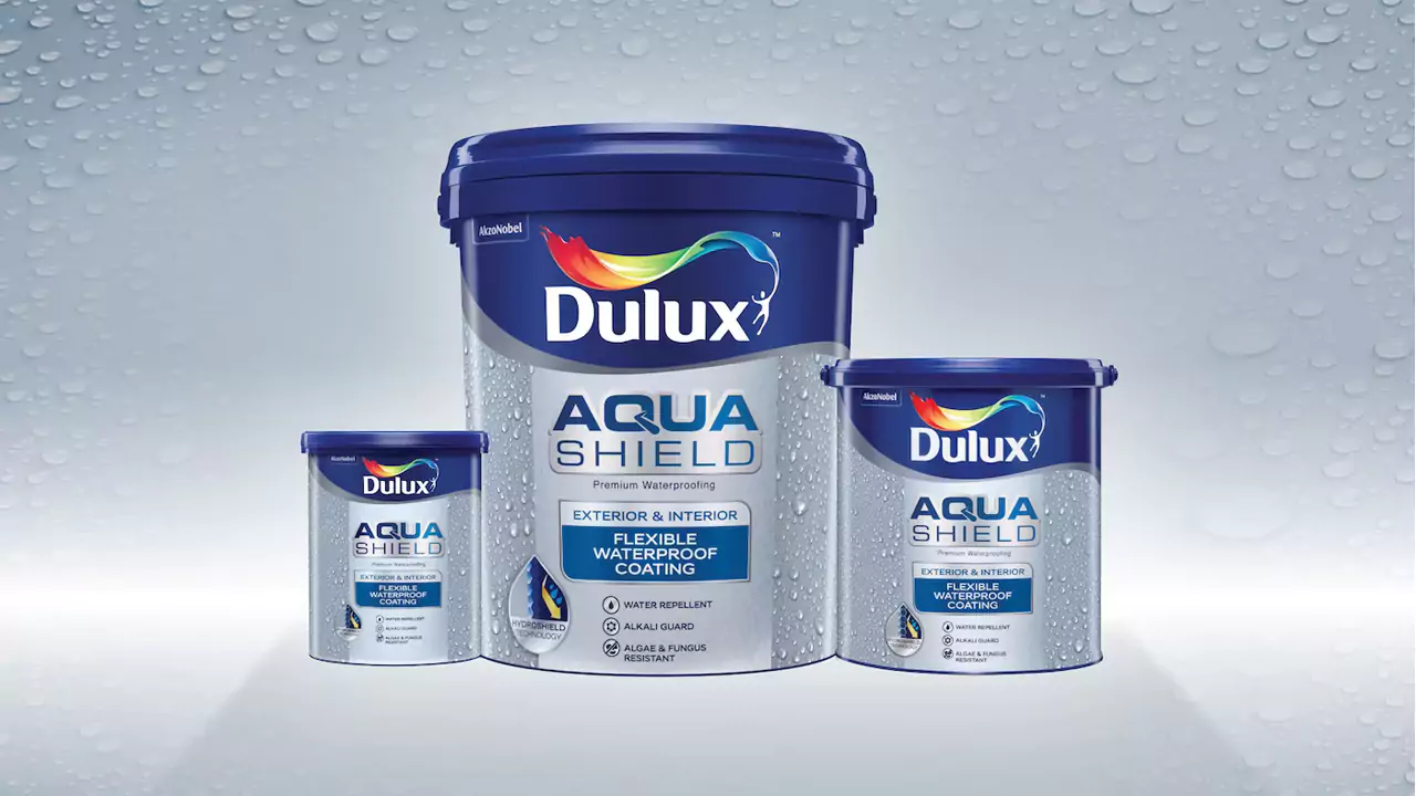 Cat Anti Bocor Dan Jamur Dulux Aquashield