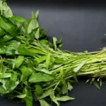 Cara Menyimpan Kangkung Di Kulkas