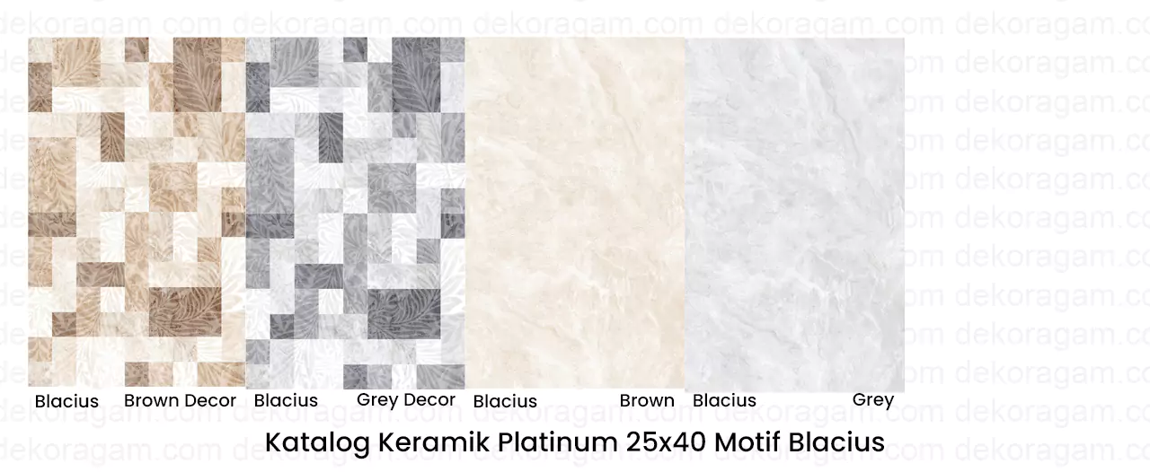 Katalog Keramik Platinum 25x40 Motif Blacius